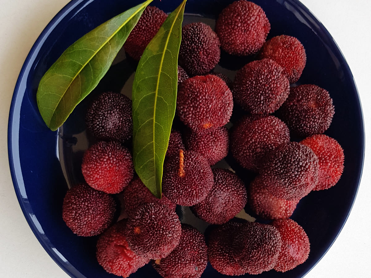 仙居东魁杨梅精选礼盒