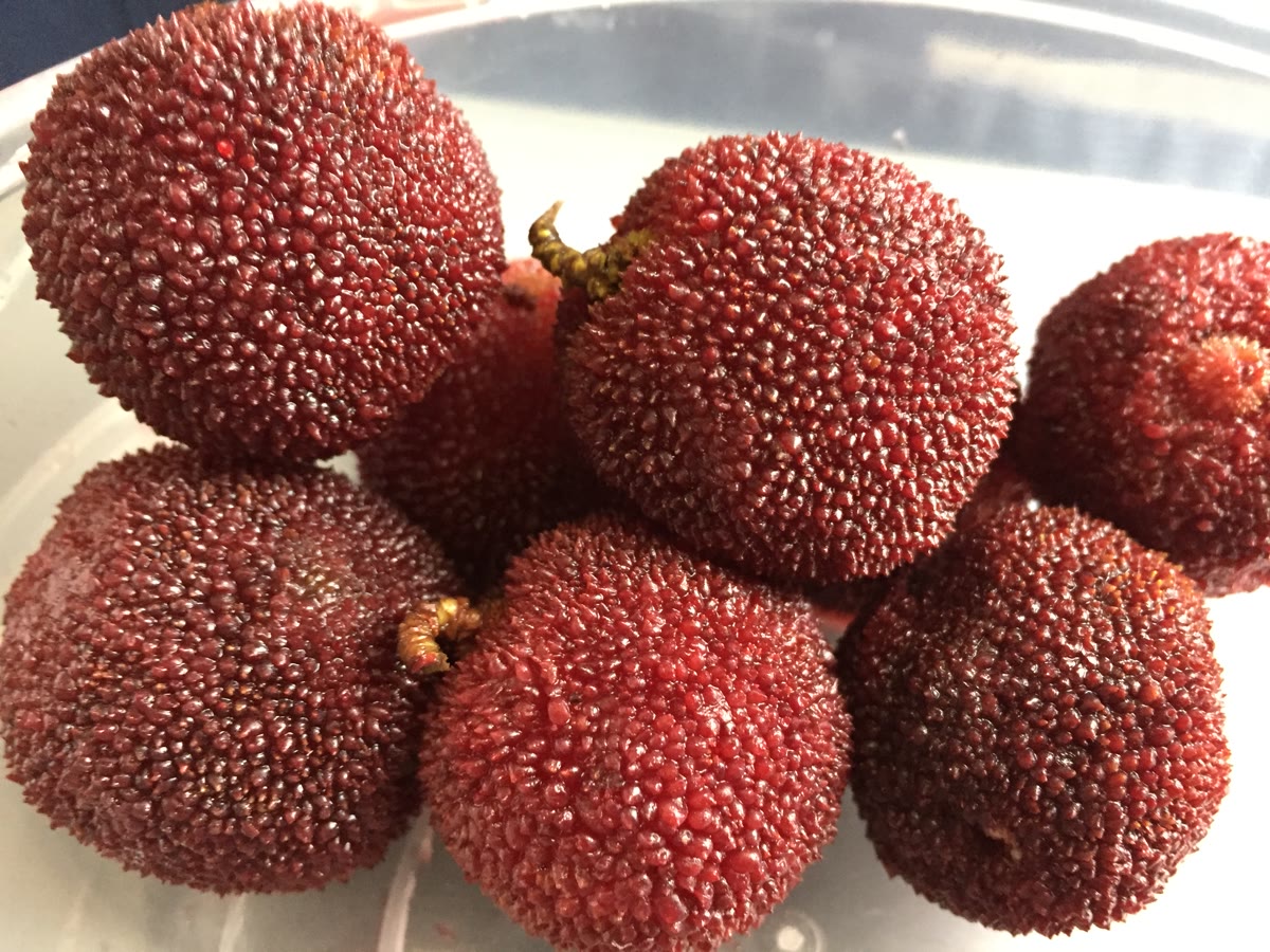 企业团购 / 产地批量采购